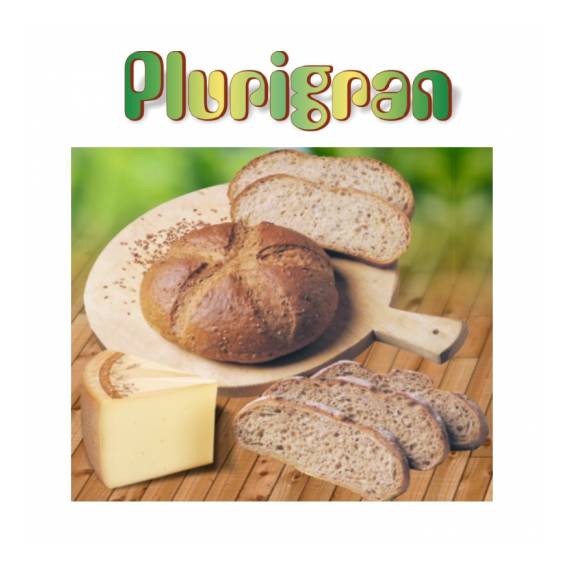 Plurigran - pane ai 7 cereali con soia e semi di sesamo e lino